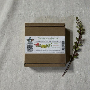 Boîte de trois huiles essentielles pour le bien-être.